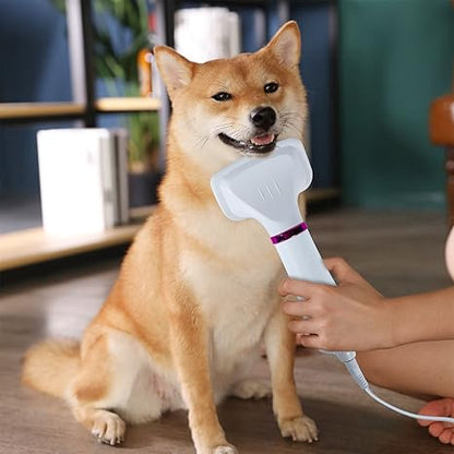 CEPILLO SECADOR PARA MASCOTAS